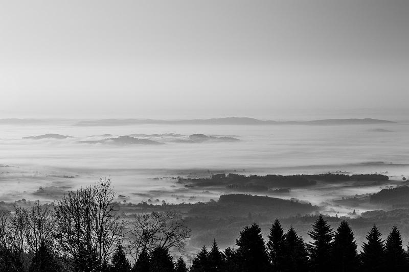 2017_11_03_Mont beuvray (0010_b-w).jpg - Mont Beuvray (novembre 2017)